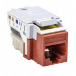 RJ45FC5EB-RED Picture
